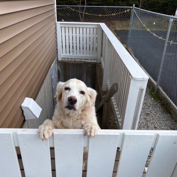 Meet your Posher, Amy - Picture 1 of 1